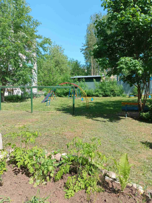 Большева,6 покос травы